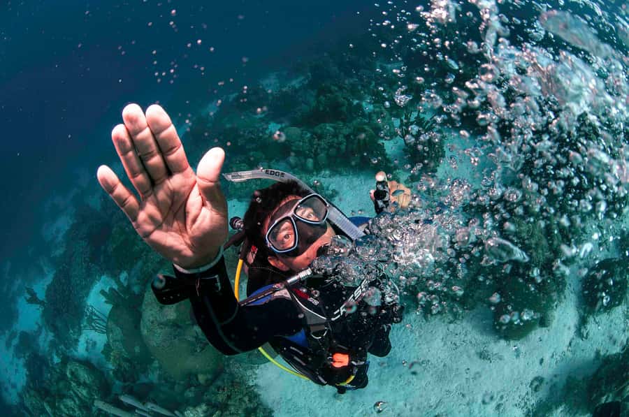 Tayrona National Park: Scuba Diving Tour for Beginners - What the $138 price really covers