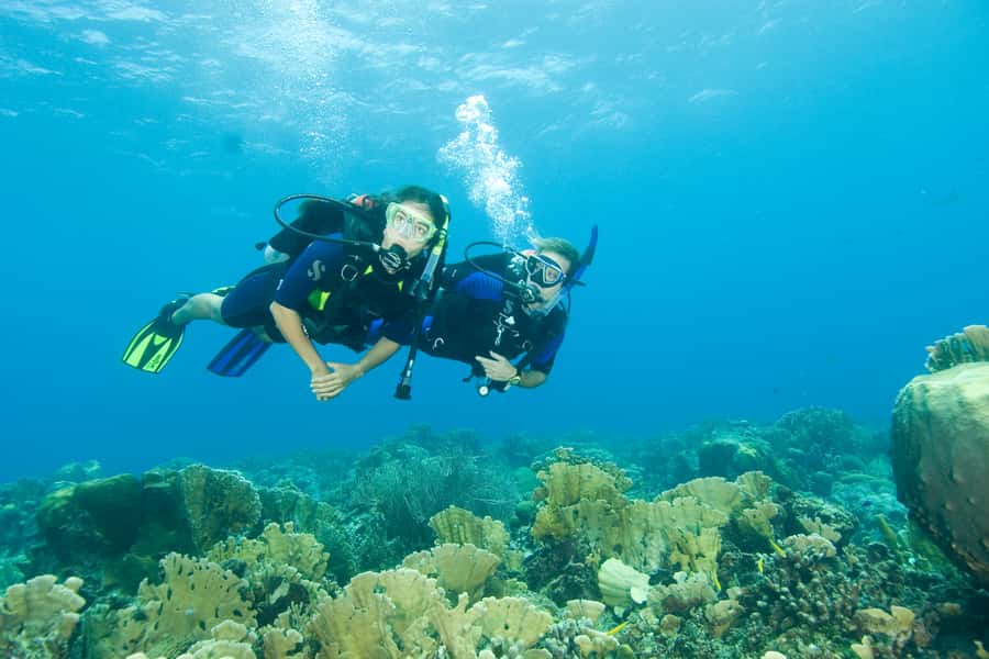 Tayrona National Park: Scuba Diving Tour for Beginners - The human side of the instruction