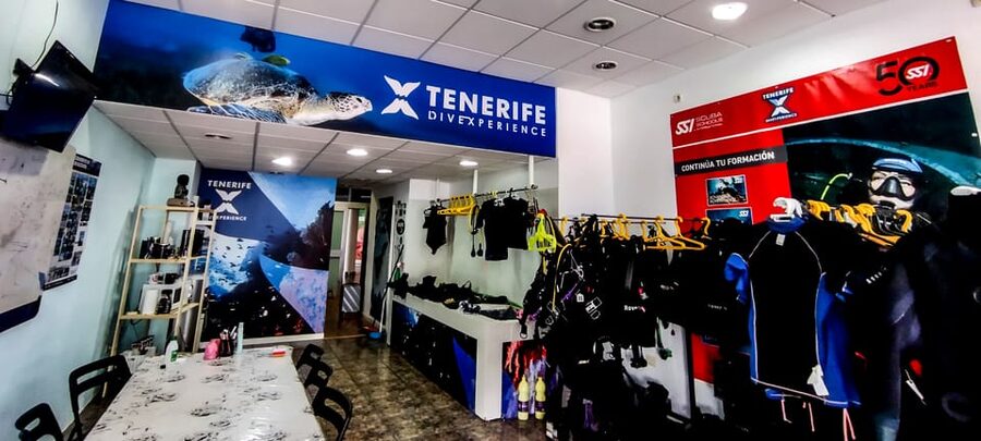 Tenerife: 2-Dive Private Scuba Discovery Course - Key points before you book