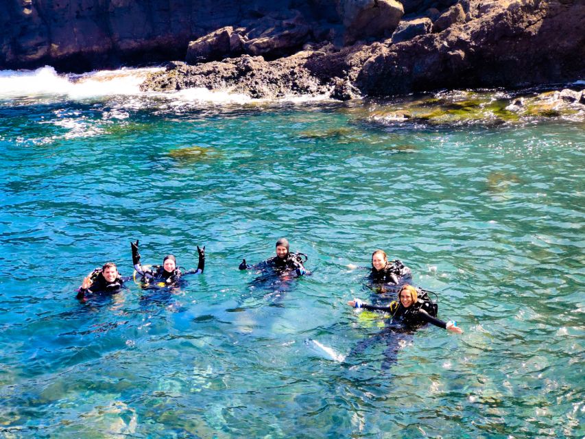Tenerife: 2-Dive Private Scuba Discovery Course - Starting at Scuba Point in Tenerife