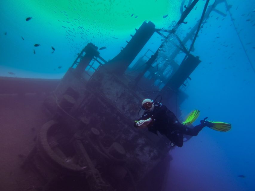 Tenerife: 2 Diving Sessions for Certified Divers - A five-hour plan with two separate sessions