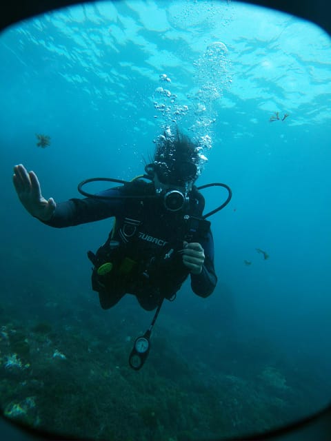 Tenerife - 2 Guided Dives for Certified Divers - Half Day - Choosing the site around Tenerife