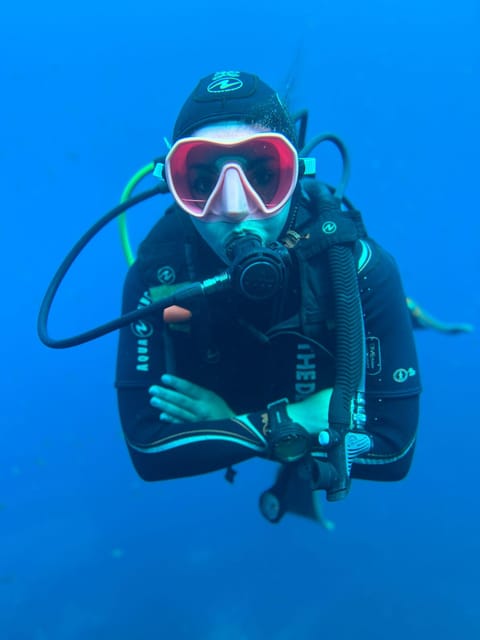 Tenerife - 2 Guided Dives for Certified Divers - Half Day - What you may see below the surface