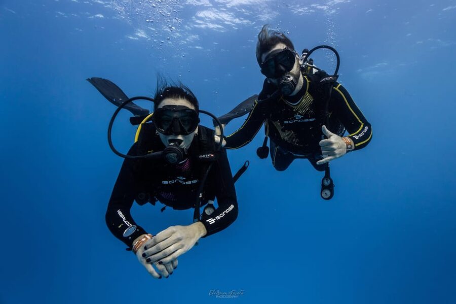 Tenerife - 2 Guided Dives for Certified Divers - Half Day - The first and second underwater sessions