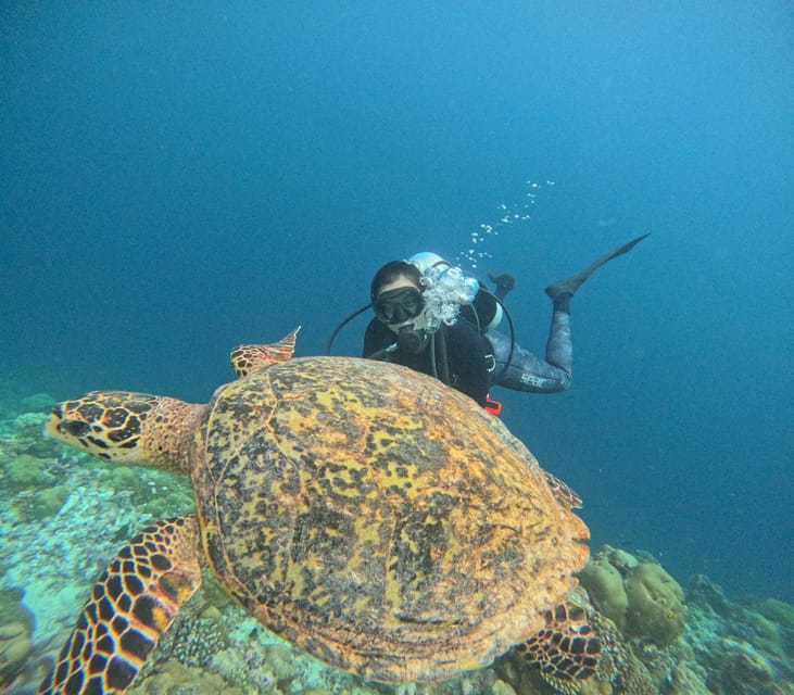 Tenerife - 2 Guided Dives for Certified Divers - Half Day - Why the three-person limit matters