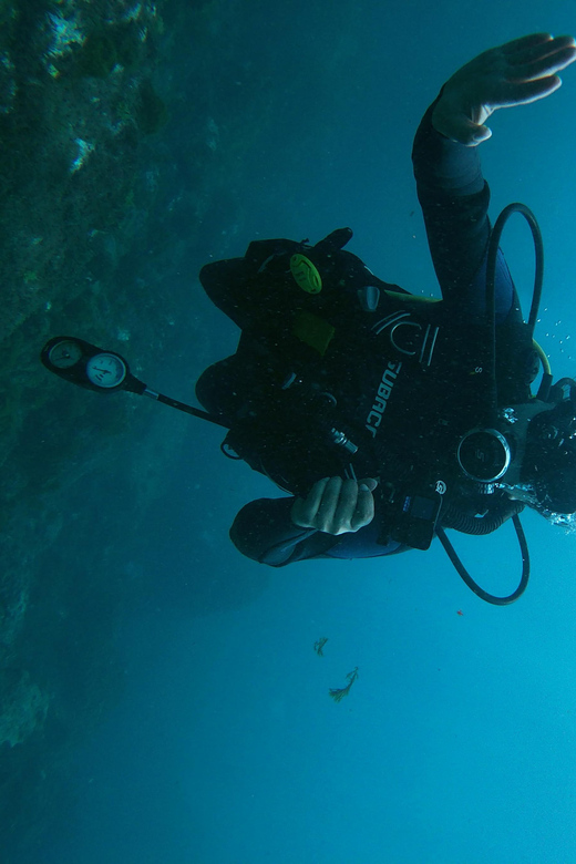 Tenerife - 2 Guided Dives for Certified Divers - Half Day - Medical forms, certification, and flight timing