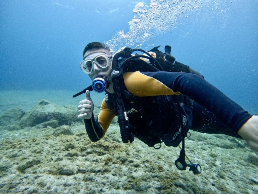 Tenerife: Beginner's Dive at a Spot with Turtle Sightings - Why this beginner session works so well