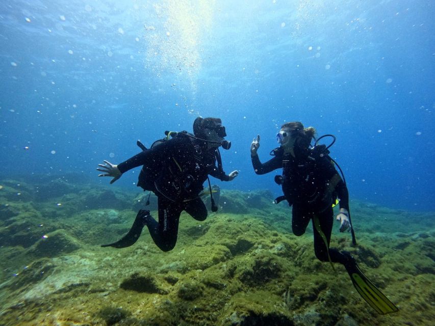 Tenerife: Beginner's Dive at a Spot with Turtle Sightings - Who should book this activity