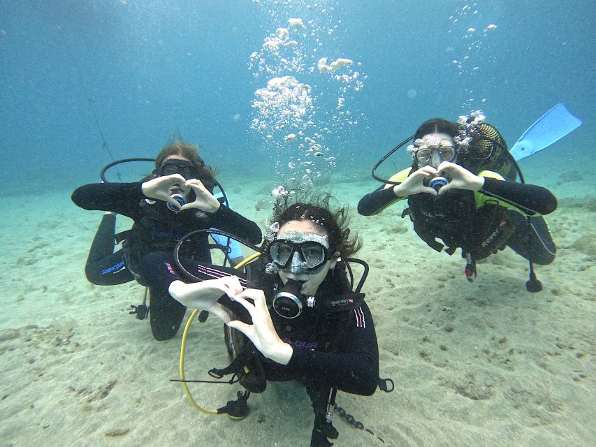 Tenerife: Beginner's Dive at a Spot with Turtle Sightings - Puerto Colón briefing and equipment fitting