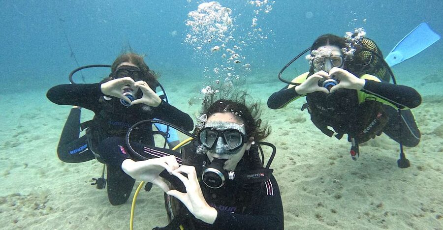 Tenerife: Beginner's Dive at a Spot with Turtle Sightings - Entering the water at a maximum of 10 meters