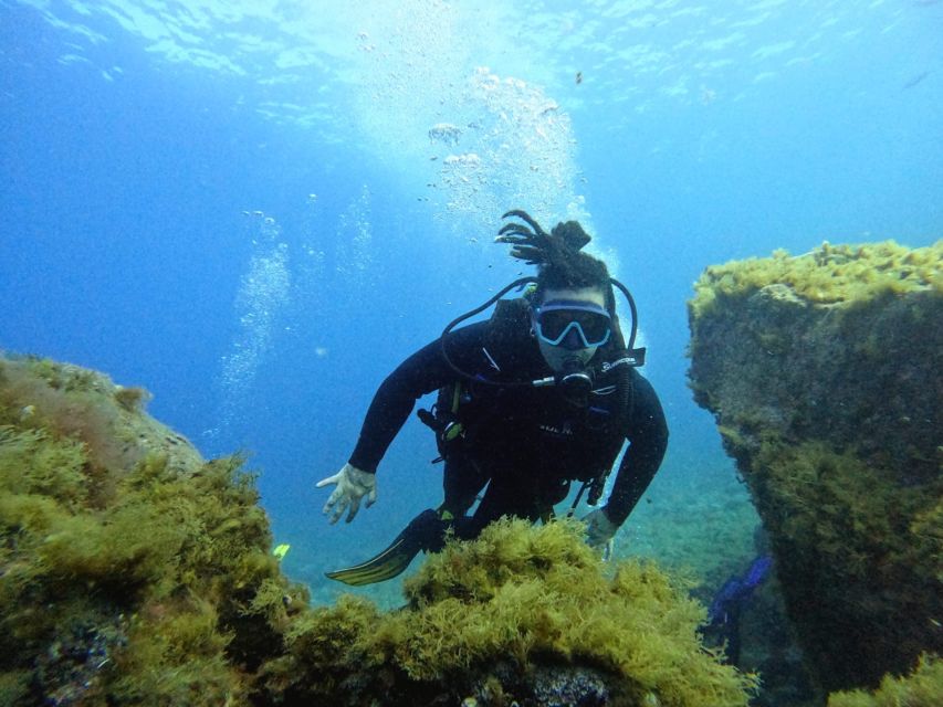 Tenerife: Beginner's Dive at a Spot with Turtle Sightings - Snorkeling while another pair uses the equipment