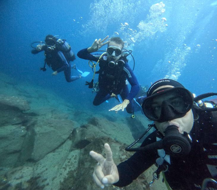 Tenerife: Beginner's Dive at a Spot with Turtle Sightings - The 15-minute speedboat ride south