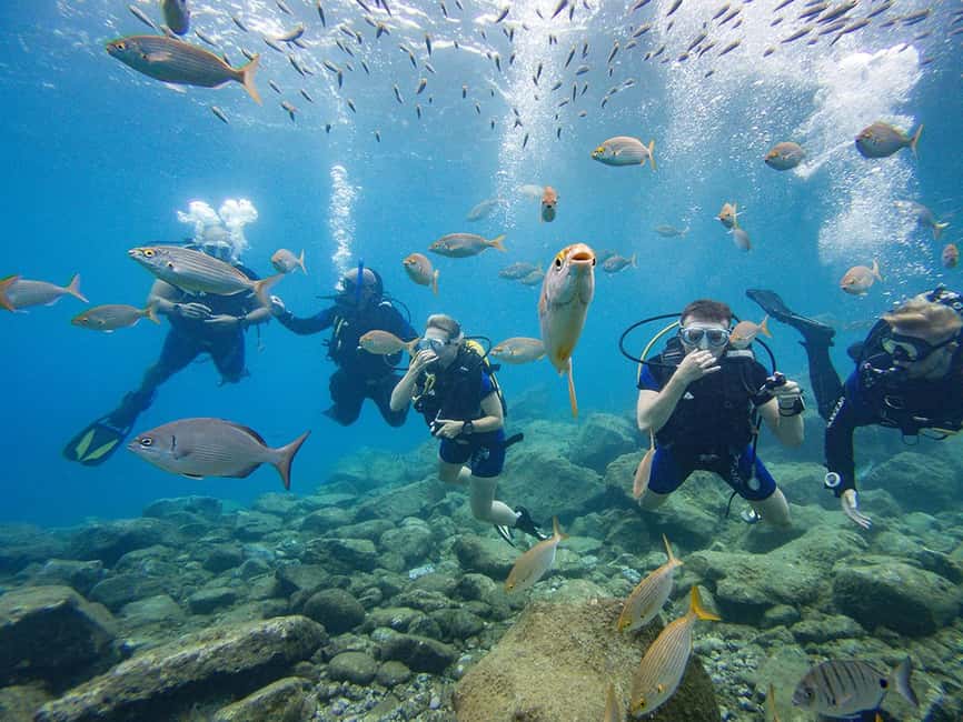 Tenerife: Beginner Scuba Dive Experience - Why this Tenerife experience works for first-timers