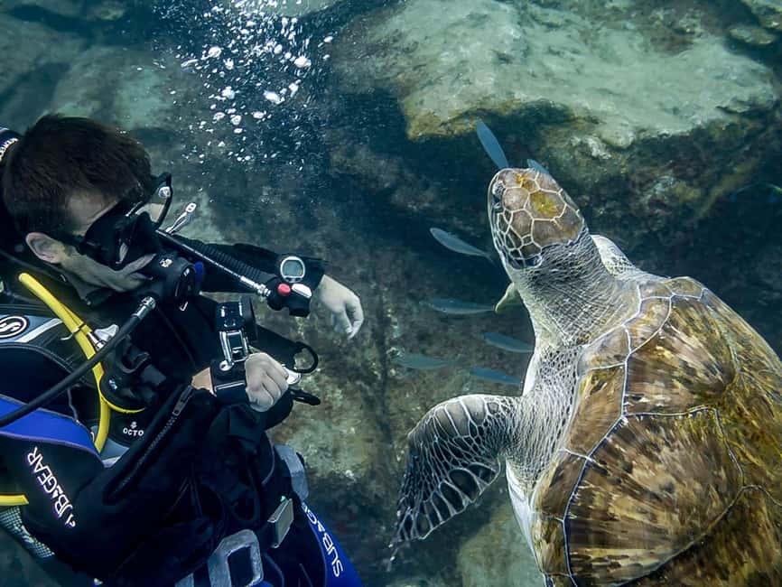 Tenerife: Beginner Scuba Dive Experience - The 30-minute safety briefing