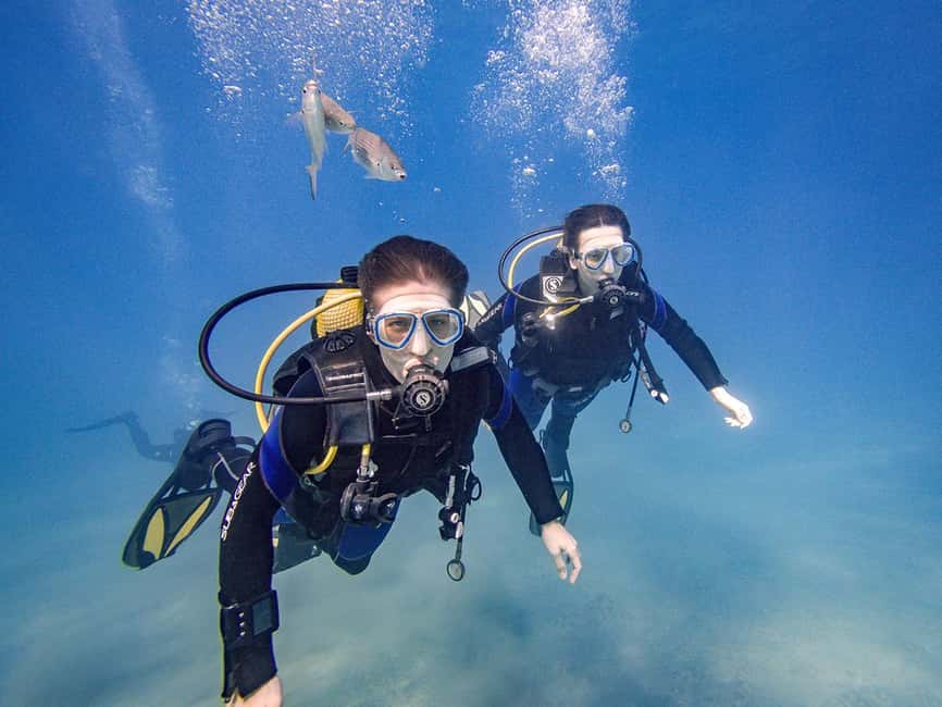 Tenerife: Beginner Scuba Dive Experience - Reaching the local site by included transport