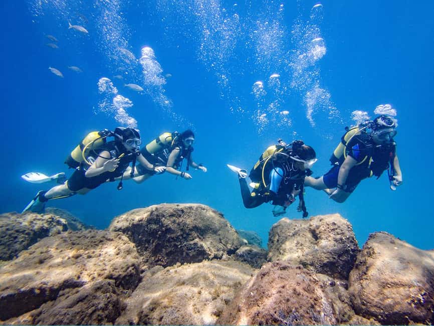 Tenerife: Beginner Scuba Dive Experience - Shallow-water practice before the main session