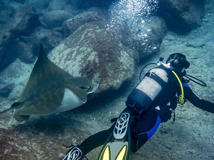 Tenerife: Beginner Scuba Dive Experience - Who should book, and who should skip it