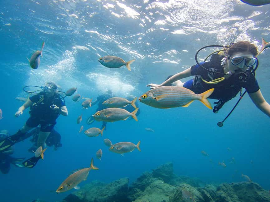 Tenerife: Beginner Scuba Dive Experience - Starting at Aquarius in El Fraile