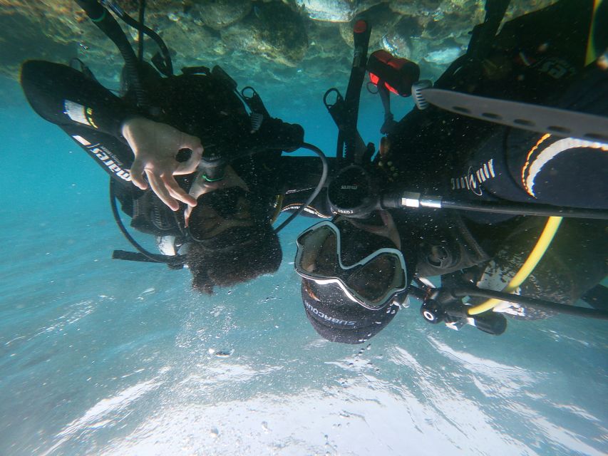 Tenerife: Costa Adeje Private Diving Lesson Experience - Who will enjoy this Costa Adeje lesson