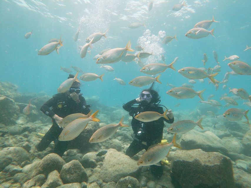 Tenerife: Costa Adeje Private Diving Lesson Experience - Starting at the Costa Adeje dive center