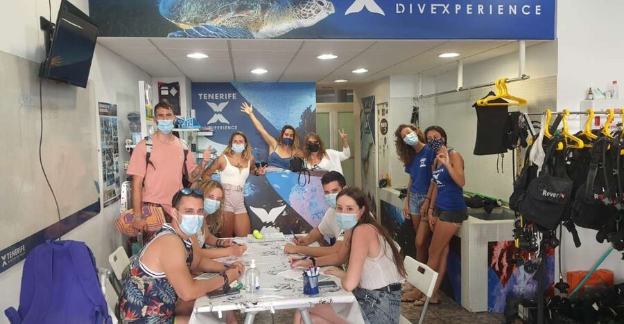 Tenerife: Costa Adeje Private Diving Lesson Experience - How the $79 price measures up
