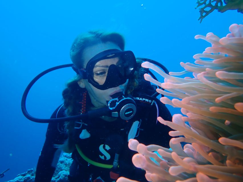 Tenerife: Costa Adeje Private Diving Lesson Experience - Timing your day around the medical rules
