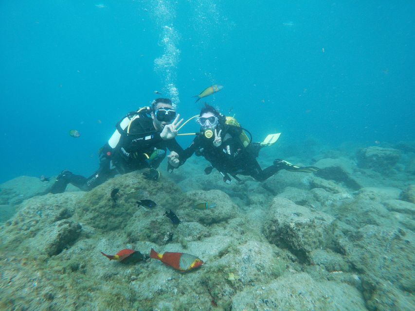 Tenerife: Costa Adeje Private Diving Lesson Experience - Learning to breathe before entering the water