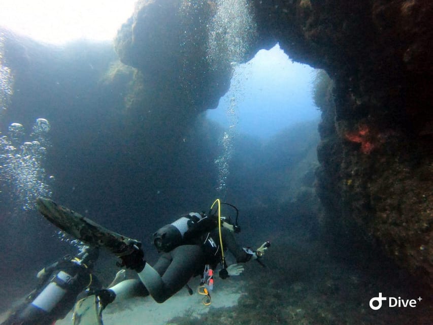 Tenerife - Discover Scuba Diving Experience with Instructor - Meeting DiveBase beside Turtle Bay