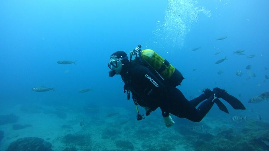 Tenerife: Discover Scuba Diving with Free Photos - Starting at Marina del Sur in Puerto de las Galletas