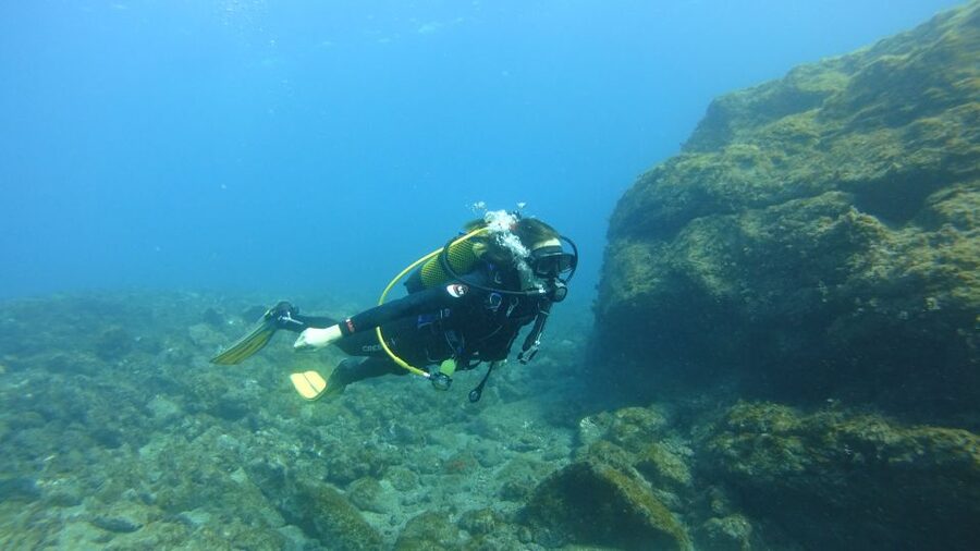 Tenerife: Discover Scuba Diving with Free Photos - Reaching up to 12 meters below Tenerife