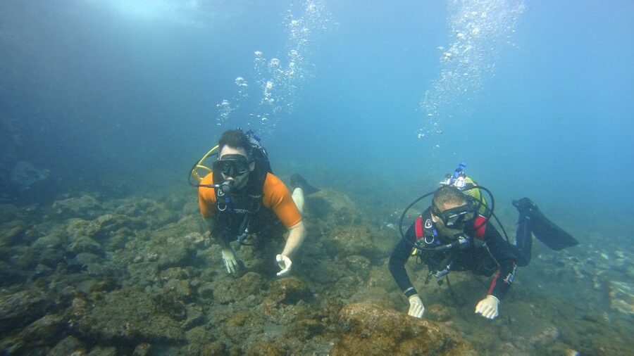 Tenerife: Discover Scuba Diving with Free Photos - Safety, comfort, and the practical limits