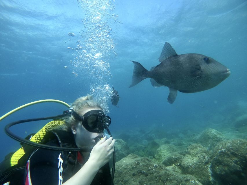 Tenerife : Diving License international in one day - Key points to know before booking