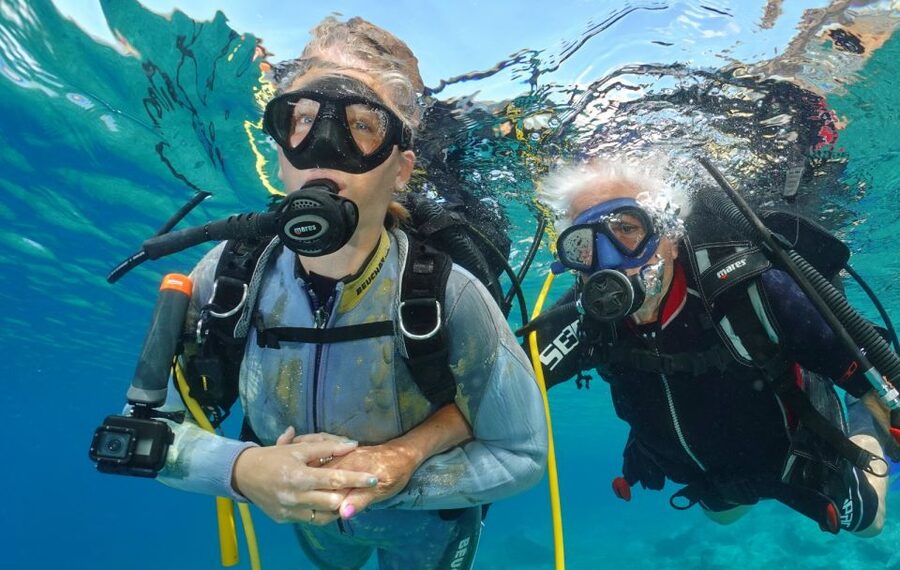 Tenerife : Diving License international in one day - The second session and the Tenerife sea