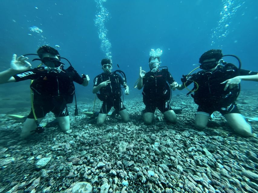 Tenerife : Diving License international in one day - Timing, transport, and what to bring