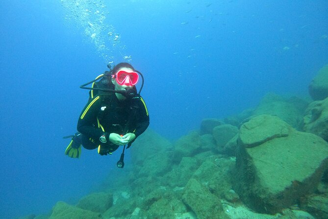 Tenerife First Time Scuba Dive – Turtle Habitat, Small Groups - Your first underwater session