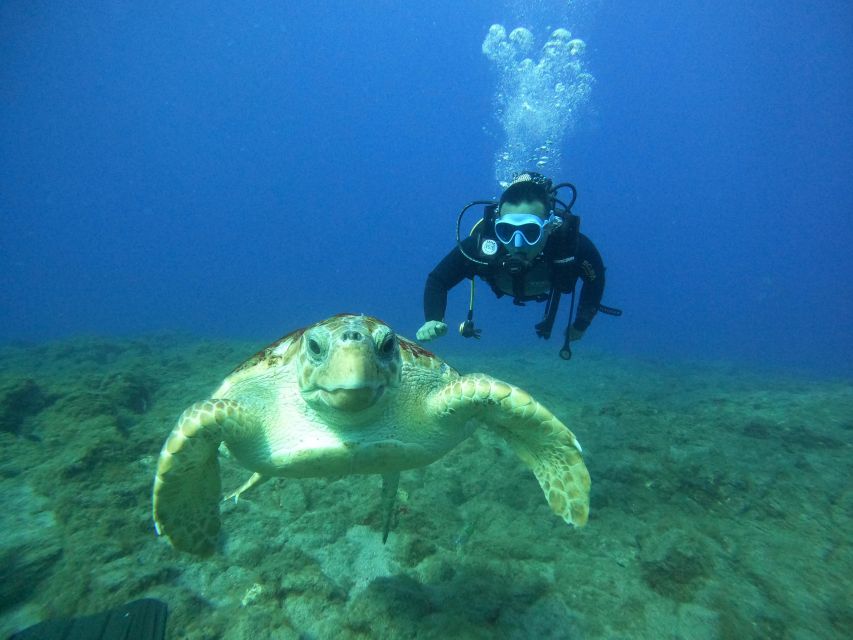 Tenerife: PADI Open Water Diver Course - What the $506 price really covers