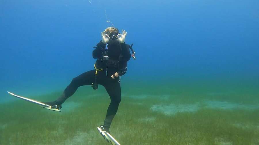Tenerife: PADI Open Water Diver Course - Is the PADI Open Water course worth booking?