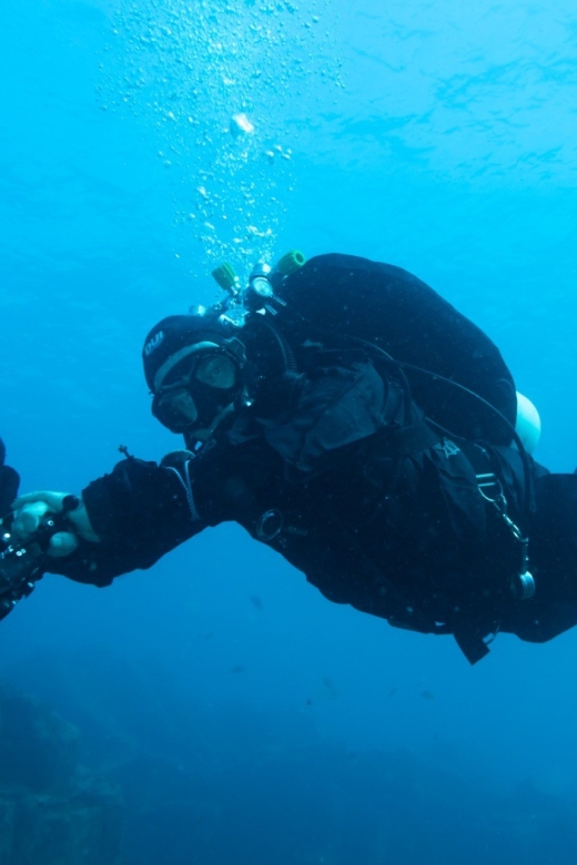 Tenerife : Private Dive for Beginners from a Boat - What happens before the boat leaves