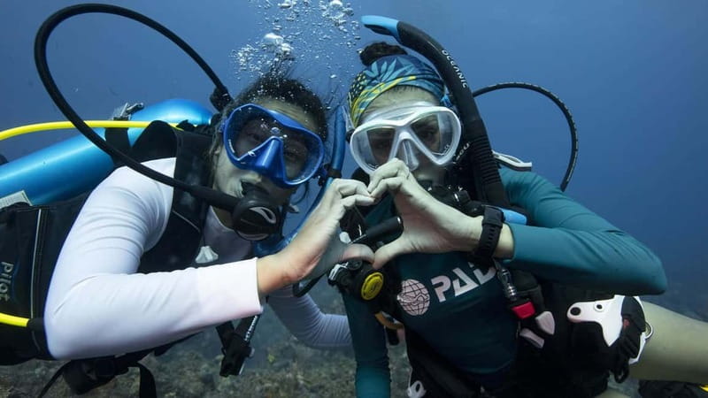 Tenerife: Private Scuba Diving–Certified Instructor & Photos - From Los Cristianos pickup to the water