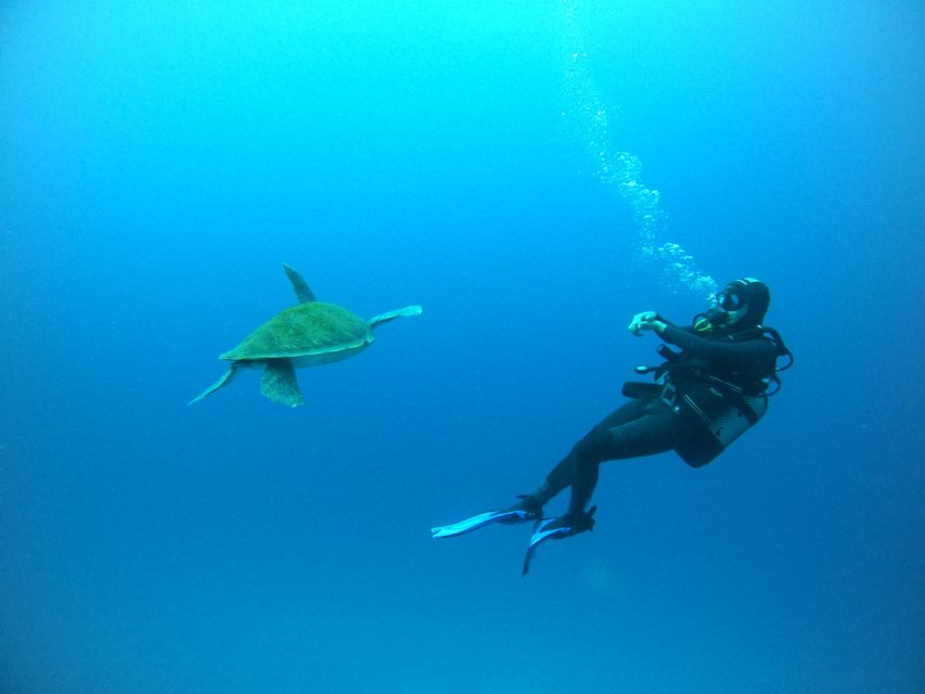 Tenerife: Puerto Colon Certified Scuba Dive by Speed Boat - Key points to know before you book