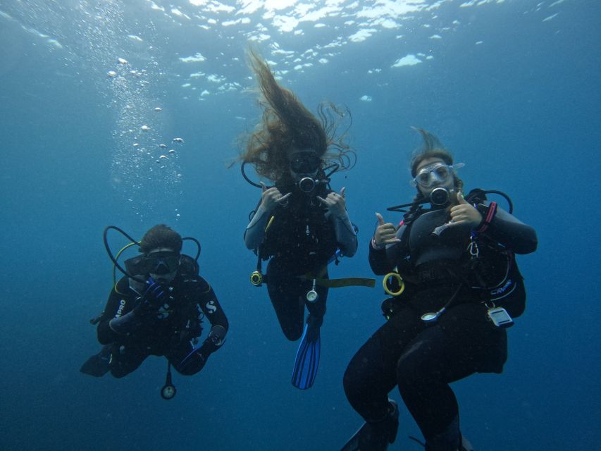 Tenerife: Puerto Colon Certified Scuba Dive by Speed Boat - A speedboat ride of 5 to 25 minutes