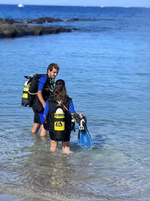 Tenerife: Scuba Dive & Fun, Discover the Magic of the Ocean - The 30 to 40-minute underwater session