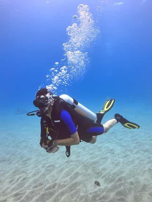 Tenerife: Scuba Dive & Fun, Discover the Magic of the Ocean - Who will enjoy this experience most