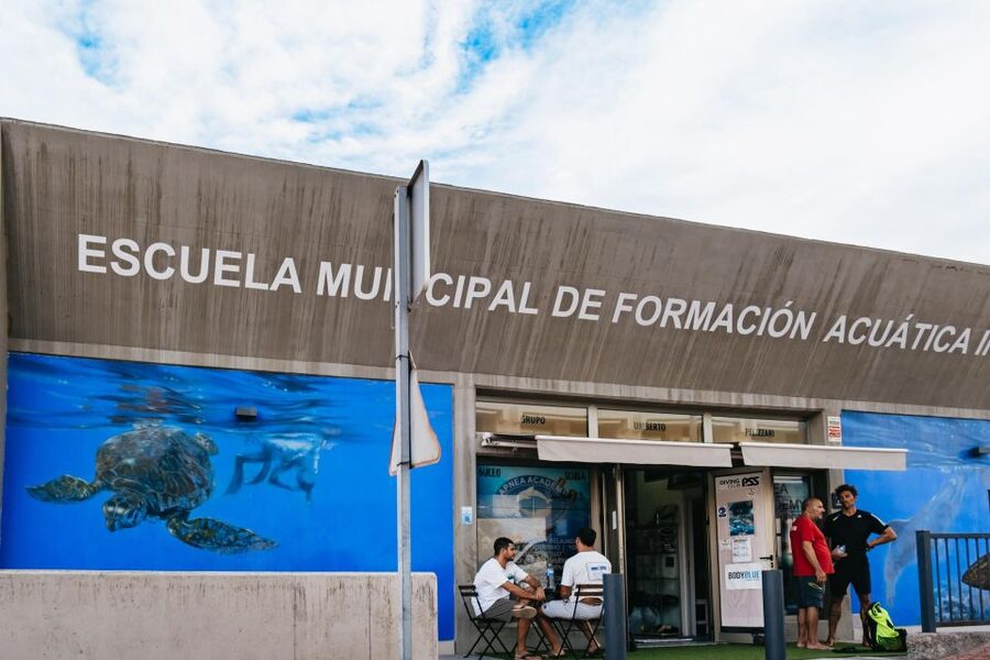 Tenerife: Scuba Diving Experience with Instructor and Gear - Meeting the fish, plants, and coral