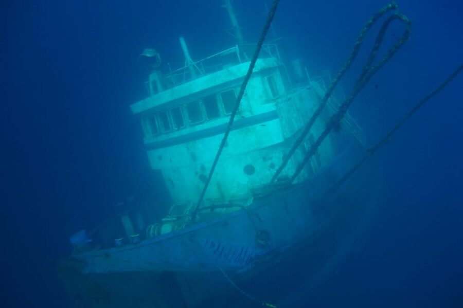 Tenerife Scuba Diving for Certified Divers - Key points at a glance