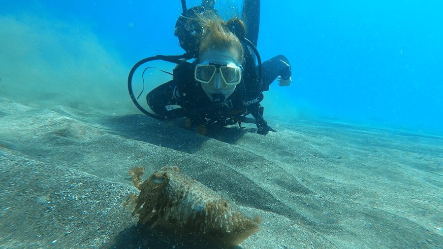 Tenerife: Scuba Diving Lesson and Abades Protected Area Dive - Getting comfortable before you go farther