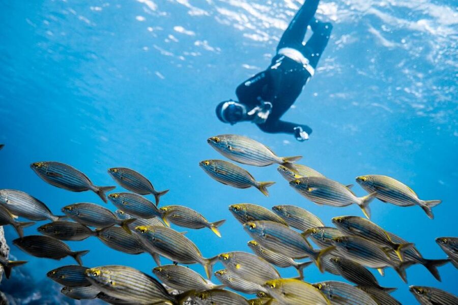 Tenerife : Snorkeling underwater with freediving Instructor - Meeting at Radazul Beach