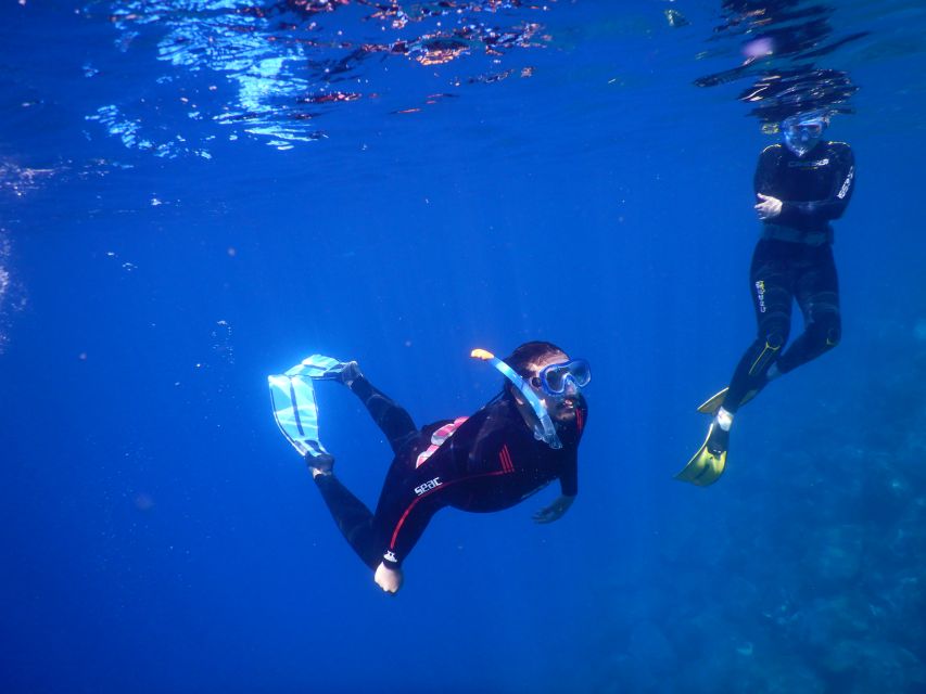 Tenerife : Snorkeling underwater with freediving Instructor - Who will get the most from this experience