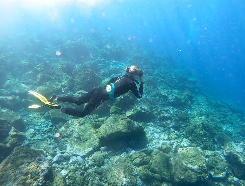 Tenerife : Snorkeling underwater with freediving Instructor - Is $52 a fair price?