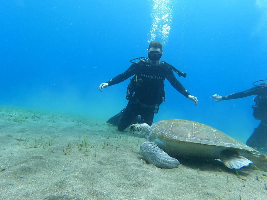 Tenerife south: Scuba Dive for beginners in Adeje - Key points at a glance